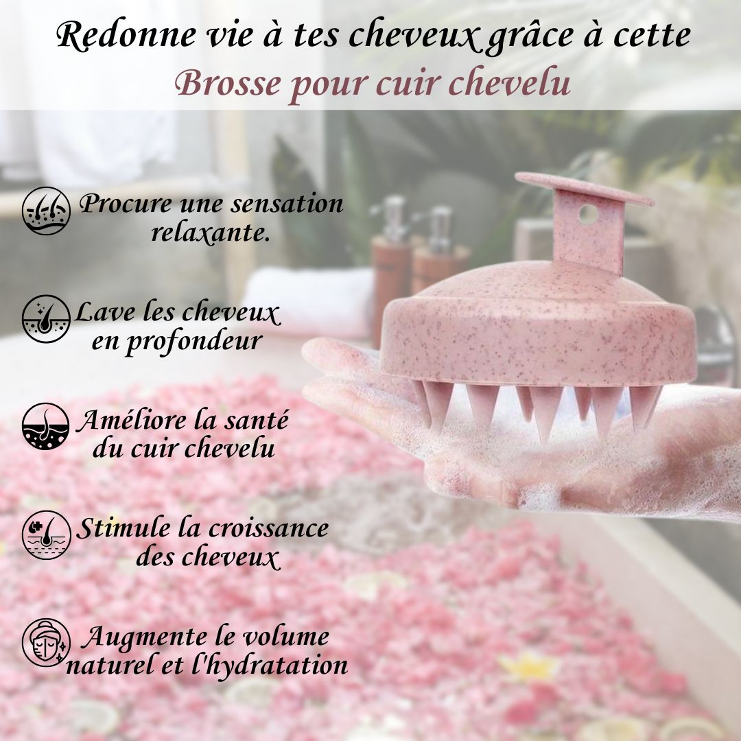 ALSANCIA - Brosse Massante Cuir Chevelu