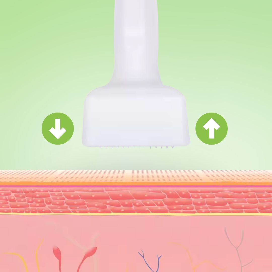 ALSANCIA - Derma Stamp Capillaire