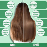 ALSANCIA - HairMaster Duo - Lisseur 2 en 1 + Brosse Offerte